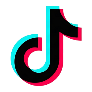 TikTok Ads